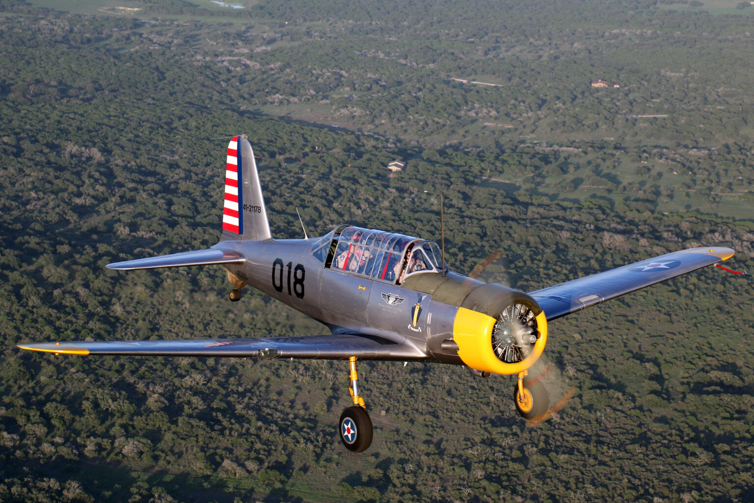 fight-to-the-finish-flyover-presented-by-the-lone-star-flight-museum