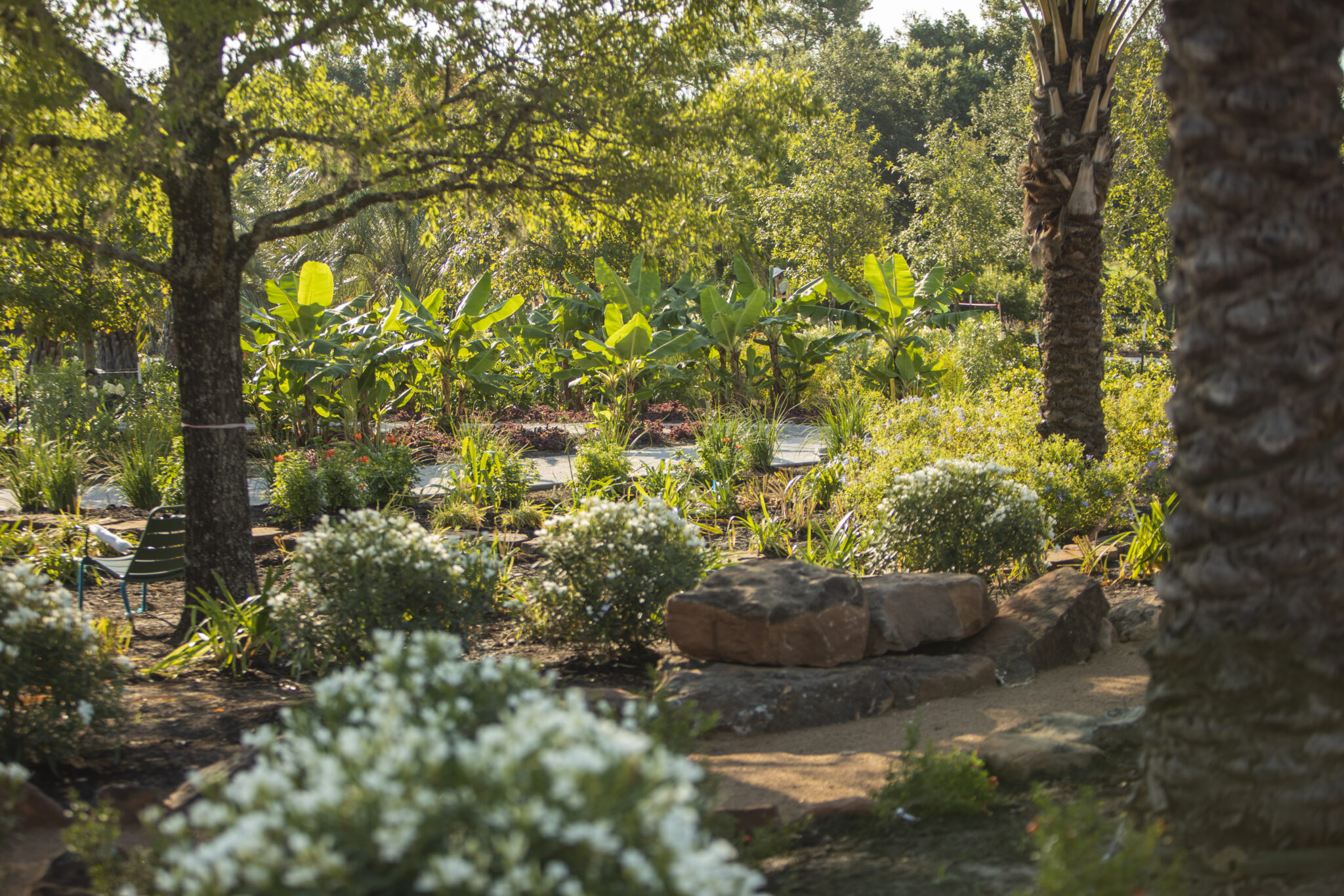 Houston Botanic Garden Officially Opens, Showcasing Bayou City’s