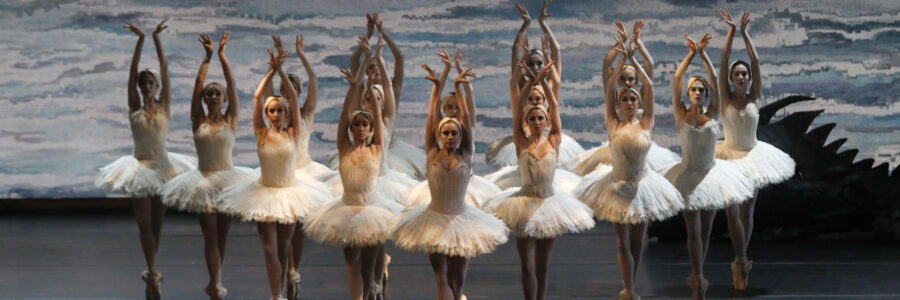 New Ballet set Rh (inspired by Swan lake) in 2023